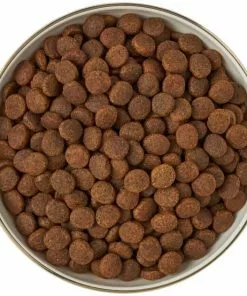 Frisco Gold Trim Melamine Dog & Cat Bowl, Cream -The Frisco Store 253062 PT5. SY630 V1616595396