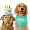 Frisco Birthday Cake Dog & Cat Hat & Frisco Dog & Cat Birthday Bandana -The Frisco Store 255463 MAIN. SY630 V1603716113