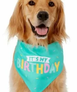 Frisco Birthday Cake Dog & Cat Hat & Frisco Dog & Cat Birthday Bandana 10 Frisco Birthday Cake Dog & Cat Hat & Frisco Dog & Cat Birthday Bandana -The Frisco Store 255463 PT3. SY630 V1603716088