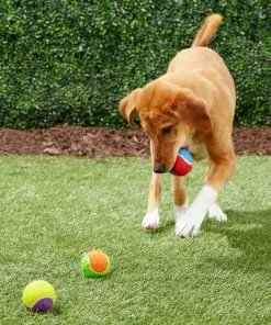 Frisco||True Acre Foods Frisco Fetch Squeaking Colorful Tennis Ball Dog Toy & True Acre Foods Salmon Recipe Mini-Training Rewards Grain-Free Soft & Chewy Dog Treats -The Frisco Store 255469 PT2. SY630 V1602691284