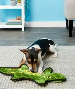 Frisco Flat Plush Squeaking Alligator Dog Toy, Medium & Frisco Flat Plush Squeaking Raccoon Dog Toy, Medium 9 Frisco Flat Plush Squeaking Alligator Dog Toy, Medium & Frisco Flat Plush Squeaking Raccoon Dog Toy, Medium -The Frisco Store 255471 PT2. SY630 V1602691584