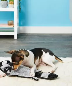 Frisco Flat Plush Squeaking Alligator Dog Toy, Medium & Frisco Flat Plush Squeaking Raccoon Dog Toy, Medium 11 Frisco Flat Plush Squeaking Alligator Dog Toy, Medium & Frisco Flat Plush Squeaking Raccoon Dog Toy, Medium -The Frisco Store 255471 PT4. SY630 V1602691287