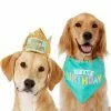 Frisco Happy Birthday Dog & Cat Crown & Frisco Dog & Cat Birthday Bandana, One Size -The Frisco Store 255521 MAIN. SY630 V1603716088
