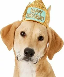 Frisco Happy Birthday Dog & Cat Crown & Frisco Dog & Cat Birthday Bandana, One Size -The Frisco Store 255521 PT1. SY630 V1603716101