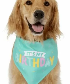 Frisco Happy Birthday Dog & Cat Crown & Frisco Dog & Cat Birthday Bandana, One Size -The Frisco Store 255521 PT3. SY630 V1603716116
