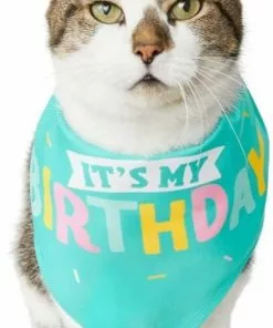 Frisco Happy Birthday Dog & Cat Crown & Frisco Dog & Cat Birthday Bandana, One Size -The Frisco Store 255521 PT4. SY630 V1603716122