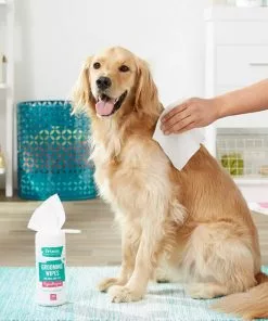 Frisco||PetHonesty Frisco Hypoallergenic Grooming Wipes with Organic Aloe for Dogs & Cats, Unscented & PetHonesty Allergy Relief Snacks Immunity Strength & Digestive Health Soft Chews Dog Supplement -The Frisco Store 255569 PT2. SY630 V1603545391