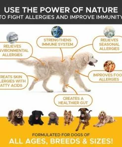 Frisco||PetHonesty Frisco Hypoallergenic Grooming Wipes with Organic Aloe for Dogs & Cats, Unscented & PetHonesty Allergy Relief Snacks Immunity Strength & Digestive Health Soft Chews Dog Supplement -The Frisco Store 255569 PT4. SY630 V1603545416