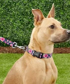 Frisco Midnight Floral Dog Leash & Frisco Midnight Floral Dog Collar -The Frisco Store 255571 PT2. SY630 V1603545417