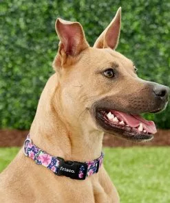 Frisco Midnight Floral Dog Leash & Frisco Midnight Floral Dog Collar -The Frisco Store 255571 PT4. SY630 V1603545402