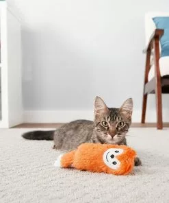 Frisco Swattin' Springs Cat Toy, 4-Pack & Frisco Plush Kicker Cat Toy, Orange Fox -The Frisco Store 255629 PT3. SY630 V1602702073