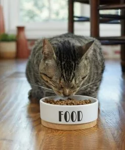 Frisco Ceramic Food Dog & Cat Bowl with Wood Base -The Frisco Store 256042 PT2. SY630 V1615311693