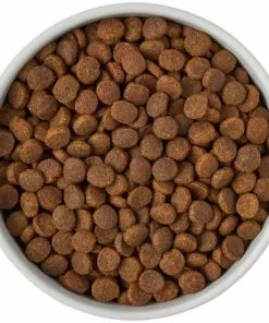 Frisco Ceramic Food Dog & Cat Bowl with Wood Base -The Frisco Store 256042 PT6. SY630 V1615317399