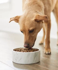 Frisco Marble Design Non-skid Ceramic Dog & Cat Bowl 11 Frisco Marble Design Non-skid Ceramic Dog & Cat Bowl -The Frisco Store 256056 PT2. SY630 V1615313589