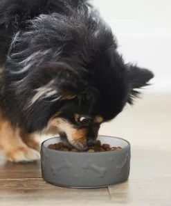 Frisco Bones Non-skid Ceramic Dog & Cat Bowl, Gray -The Frisco Store 256063 PT2. SY630 V1626186231
