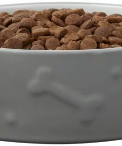 Frisco Bones Non-skid Ceramic Dog & Cat Bowl, Gray -The Frisco Store 256063 PT3. SY630 V1616508727