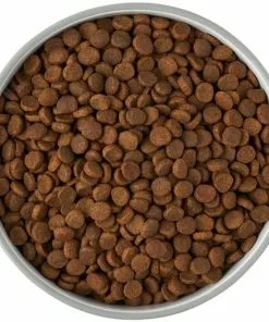 Frisco Bones Non-skid Ceramic Dog & Cat Bowl, Gray -The Frisco Store 256063 PT5. SY630 V1616508997