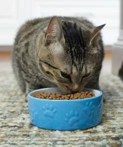 Frisco Paw Prints Non-skid Ceramic Dog & Cat Bowl, Blue -The Frisco Store 256067 PT2. SY630 V1616166987