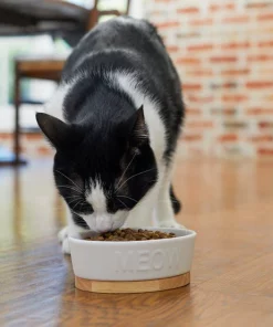 Frisco Oval Meow Non-skid Ceramic Cat Bowl with Wood Base, 1 Cup -The Frisco Store 256080 PT2. SY630 V1615310782