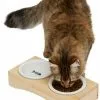 Frisco Double Elevated Cat Bowl with Wood Stand, 0.62 Cup -The Frisco Store 256082 MAIN. SY630 V1616509034