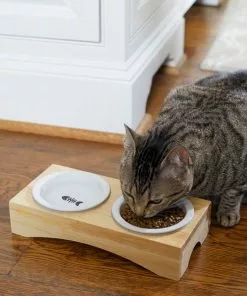 Frisco Double Elevated Cat Bowl with Wood Stand, 0.62 Cup -The Frisco Store 256082 PT2. SY630 V1615312650
