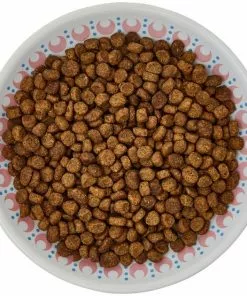 Frisco Kaleidoscope Pattern Non-skid Ceramic Cat Dish, Pink, 0.62 Cup -The Frisco Store 256084 PT5. SY630 V1617042695