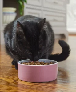 Frisco Kaleidoscope Pattern Non-skid Ceramic Cat Dish, Pink, 1.62 Cup -The Frisco Store 256086 PT2. SY630 V1615313605