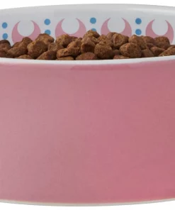 Frisco Kaleidoscope Pattern Non-skid Ceramic Cat Dish, Pink, 1.62 Cup -The Frisco Store 256086 PT3. SY630 V1615311761