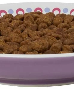 Frisco Kaleidoscope Pattern Non-skid Ceramic Cat Dish, Purple, 0.62 Cup -The Frisco Store 256088 PT3. SY630 V1617042712