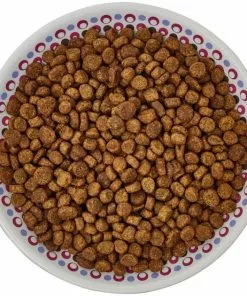 Frisco Kaleidoscope Pattern Non-skid Ceramic Cat Dish, Purple, 0.62 Cup -The Frisco Store 256088 PT5. SY630 V1617042699