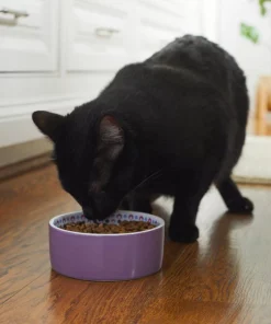 Frisco Kaleidoscope Pattern Non-skid Ceramic Cat Dish, Purple, 1.62 Cup -The Frisco Store 256090 PT2. SY630 V1615311092