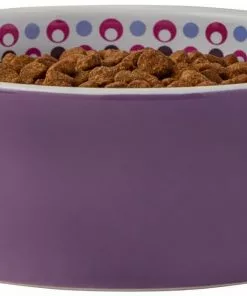 Frisco Kaleidoscope Pattern Non-skid Ceramic Cat Dish, Purple, 1.62 Cup -The Frisco Store 256090 PT3. SY630 V1615311698