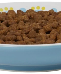 Frisco Kaleidoscope Pattern Non-skid Ceramic Cat Dish, Blue, 0.62 Cup -The Frisco Store 256092 PT3. SY630 V1617042717