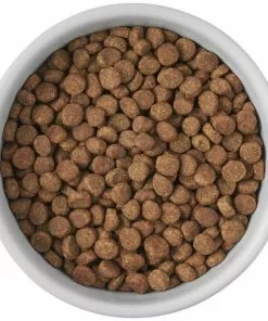 Frisco Cat Print Non-skid Elevated Ceramic Cat Bowl, Short, 1.0 Cup -The Frisco Store 256096 PT4. SY630 V1616522576