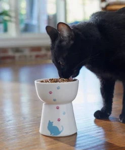 Frisco Cat Print Non-skid Elevated Ceramic Cat Bowl, Tall -The Frisco Store 256098 PT2. SY630 V1616522547