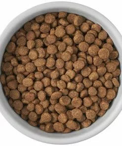 Frisco Cat Print Non-skid Elevated Ceramic Cat Bowl, Tall -The Frisco Store 256098 PT4. SY630 V1616522549