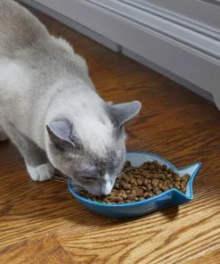 Frisco Fish Shaped Non-skid Ceramic Cat Dish, 0.62 Cups 12 Frisco Fish Shaped Non-skid Ceramic Cat Dish, 0.62 Cups -The Frisco Store 256109 PT3. SY630 V1617196297