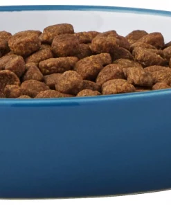 Frisco Fish Shaped Non-skid Ceramic Cat Dish, 0.62 Cups 13 Frisco Fish Shaped Non-skid Ceramic Cat Dish, 0.62 Cups -The Frisco Store 256109 PT4. SY630 V1617196291