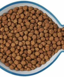 Frisco Fish Shaped Non-skid Ceramic Cat Dish, 0.62 Cups 15 Frisco Fish Shaped Non-skid Ceramic Cat Dish, 0.62 Cups -The Frisco Store 256109 PT6. SY630 V1617196895