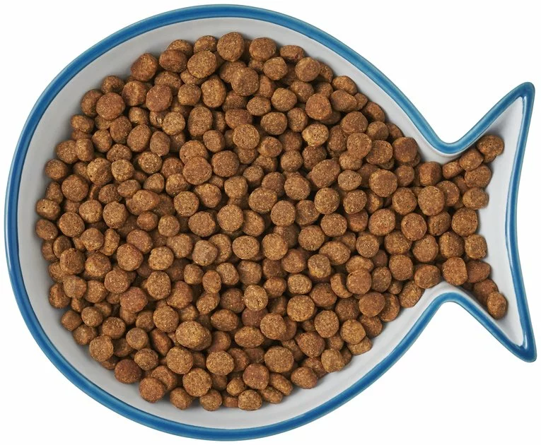 Frisco Fish Shaped Non-skid Ceramic Cat Dish, 0.62 Cups 9 Frisco Fish Shaped Non-skid Ceramic Cat Dish, 0.62 Cups - Image 7