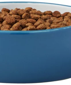 Frisco Fish Shaped Non-skid Ceramic Cat Bowl, 1.37 Cups -The Frisco Store 256111 PT3. SY630 V1616522602