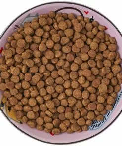 Frisco Paris Non-skid Ceramic Cat Dish, 0.62 Cup -The Frisco Store 256115 PT6. SY630 V1617196908