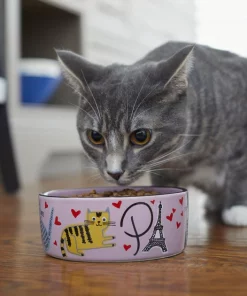 Frisco Paris Non-skid Ceramic Cat Dish, 1.62 Cup -The Frisco Store 256117 PT2. SY630 V1615311397