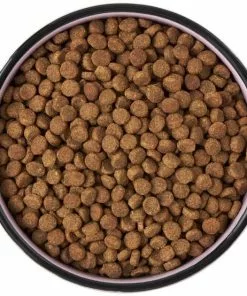 Frisco Paris Non-skid Ceramic Cat Dish, 1.62 Cup -The Frisco Store 256117 PT5. SY630 V1615311392