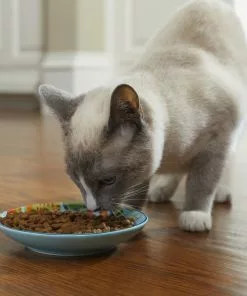 Frisco New York Non-skid Ceramic Cat Dish, 0.62 Cup -The Frisco Store 256119 PT4. SY630 V1618494708