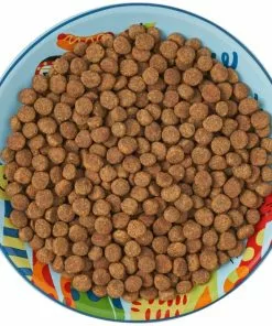 Frisco New York Non-skid Ceramic Cat Dish, 0.62 Cup -The Frisco Store 256119 PT6. SY630 V1617196905