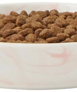 Frisco Marble Design Non-skid Ceramic Cat Bowl, 1.25 Cups -The Frisco Store 256125 PT3. SY630 V1615312690