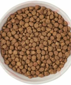 Frisco Marble Design Non-skid Ceramic Cat Bowl, 1.25 Cups -The Frisco Store 256125 PT5. SY630 V1615311382