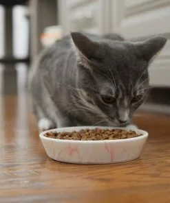 Frisco Marble Design Non-skid Ceramic Cat Bowl, 1.25 Cups -The Frisco Store 256125 PT6. SY630 V1617037714