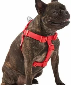Frisco Outdoor Solid Textured Waterproof Stink Proof PVC Dog Harness -The Frisco Store 256518 PT2. SY630 V1625164704